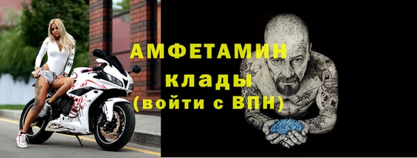 гашик Богданович