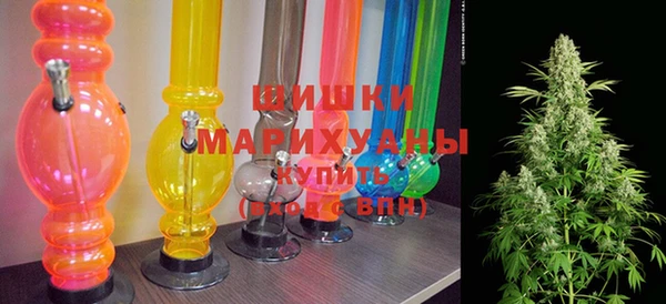 гашик Богданович
