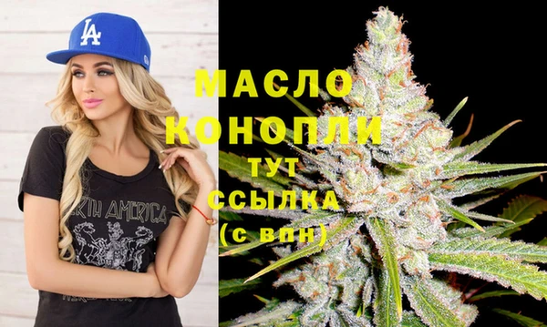 гашик Богданович